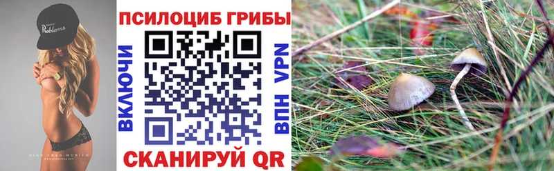 мориарти формула  Сунжа  гидра ONION  Галлюциногенные грибы Psilocybe  даркнет сайт 