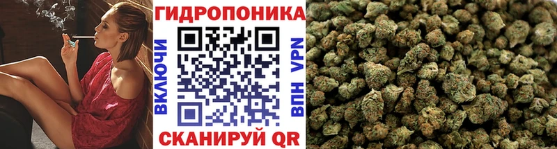 Бошки марихуана SATIVA & INDICA  Сунжа 